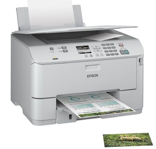 Driver Epson Cx3800 Para Mac