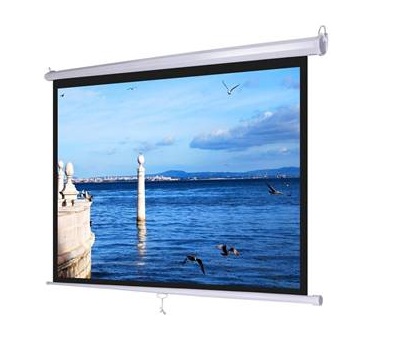 Màn chiếu treo tường Dinon 100” kích thước 1.78m x 1.78m