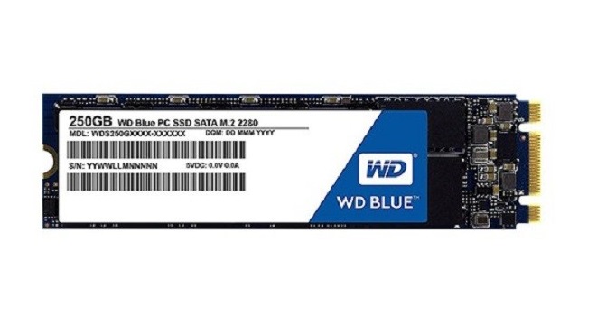 Ổ cứng SSD 250GB WD Blue SATA M.2 2280