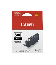 Mực in Canon PFI-300 Photo Black Ink Cartridge (4193C001)