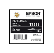 Mực in Epson T853100 Black Toner Cartridge (C13T853100)